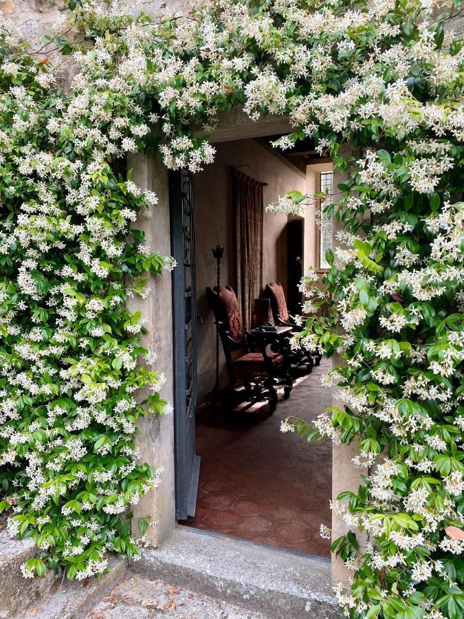 Tenuta Di San Giusto In Salcio Leilighet Gaiole in Chianti Eksteriør bilde