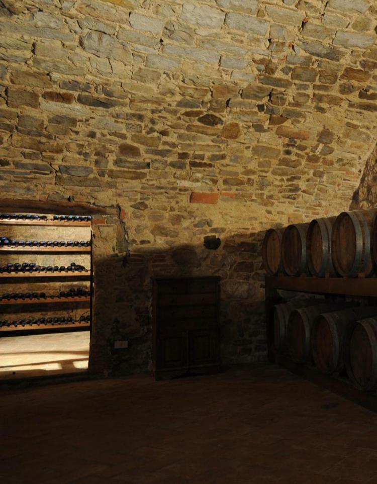 Tenuta Di San Giusto In Salcio Leilighet Gaiole in Chianti Eksteriør bilde