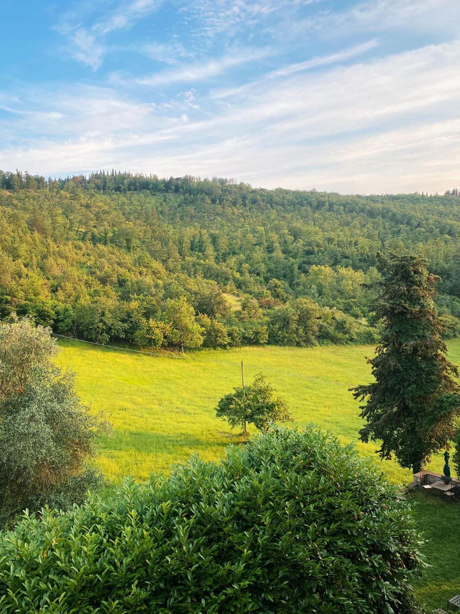 Tenuta Di San Giusto In Salcio Leilighet Gaiole in Chianti Eksteriør bilde
